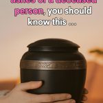 595801286_122171544830798833_7644817835480943786_n