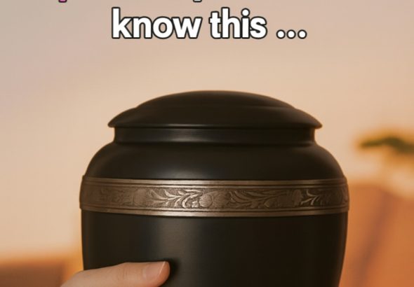 595801286_122171544830798833_7644817835480943786_n