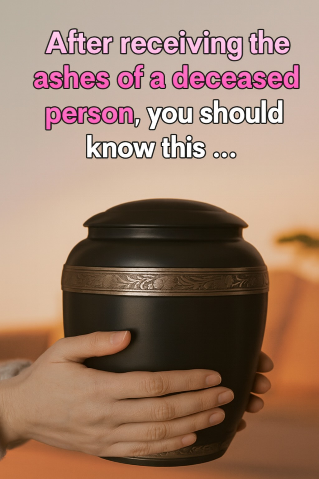 595801286_122171544830798833_7644817835480943786_n