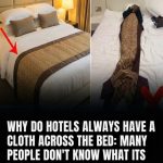 595801310_122214968930108484_6260062171029638121_n