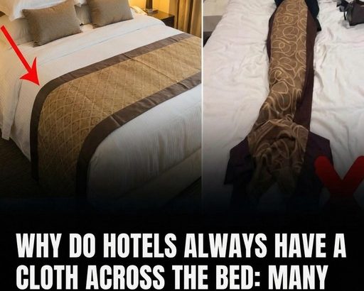 595801310_122214968930108484_6260062171029638121_n