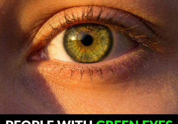 595835195_122214886454108484_6814594103023185024_n