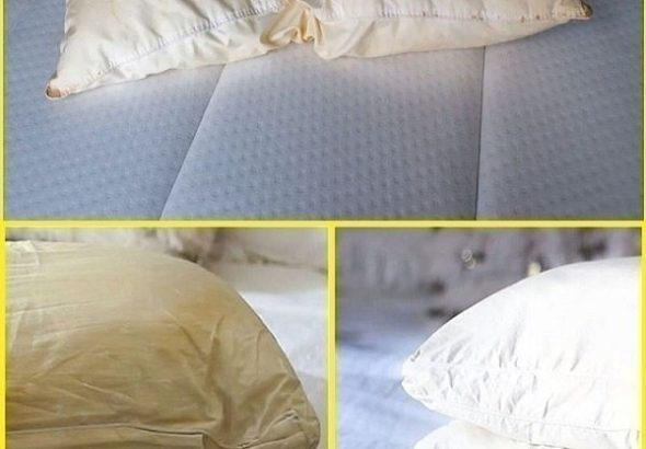 596690639_122215040414108484_7859128620046744745_n