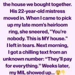 597127229_1193924986168388_4561829892960537787_n