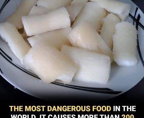 597270412_122232669170102037_1963535650224480315_n