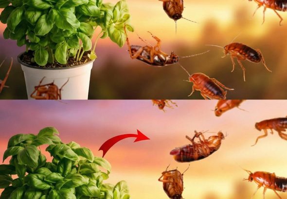 597851067_122215077170108484_4297085986870745520_n