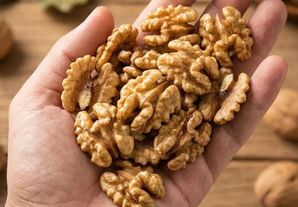 597854434_122215222718108484_2781577889065492338_n