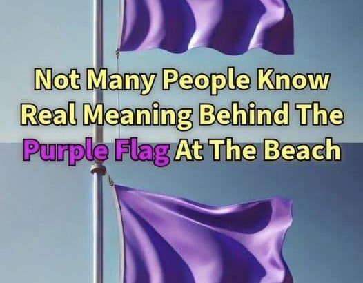 597896344_122215636118108484_2562650251014778042_n