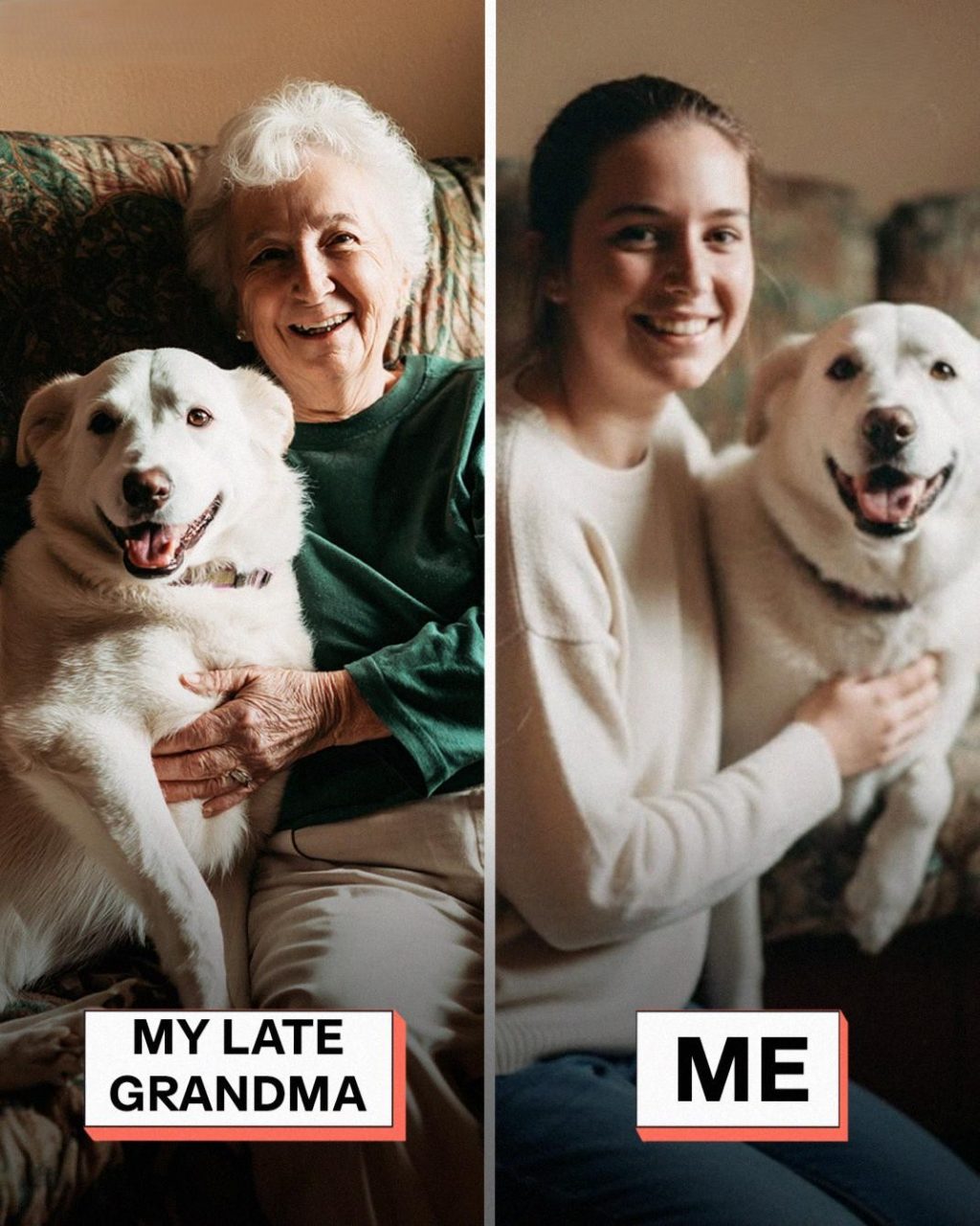 598073583_122195990438345815_6494678973181112957_n