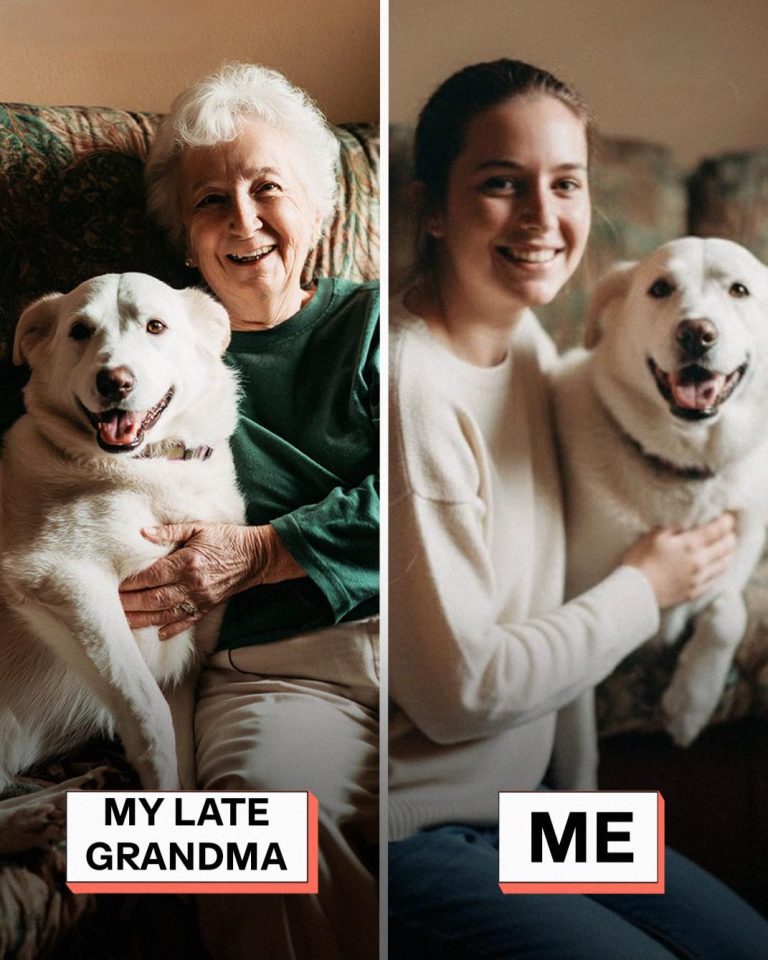 598073583_122195990438345815_6494678973181112957_n