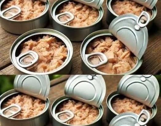 598867307_122215733624108484_5783863521100222055_n