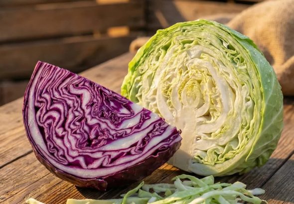 599936751_122215891490108484_6763074758728461424_n