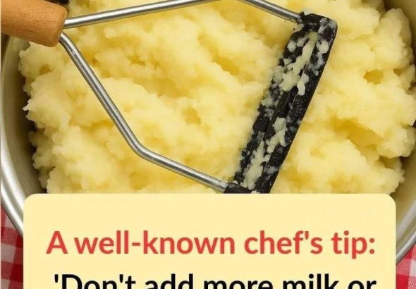 599949576_122215971182108484_8905834720017249758_n