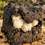 600041679_122216186618108484_2052240143518308652_n