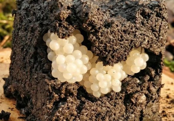 600041679_122216186618108484_2052240143518308652_n