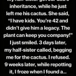 600326020_122216342570108484_2797460023313947685_n