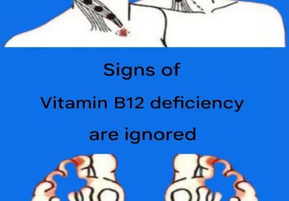 600361117_122216616110108484_3793884432329090737_n