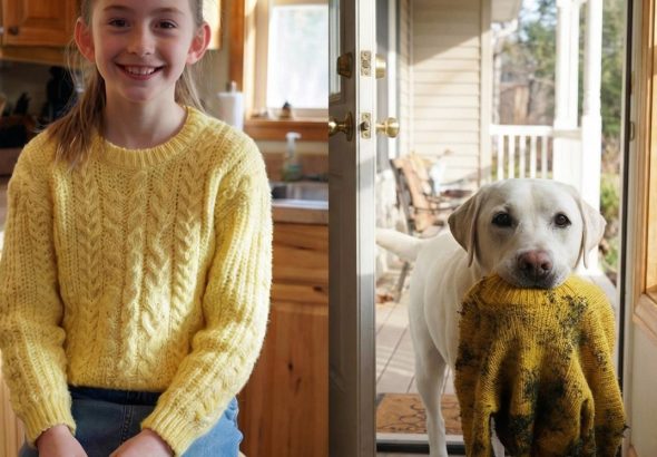 600391347_122216136872108484_1040262111874355211_n