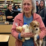 601365911_122196171758345815_5551388285828343833_n