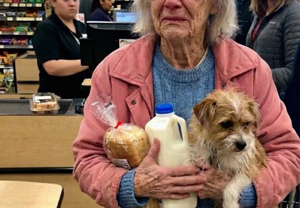 601365911_122196171758345815_5551388285828343833_n