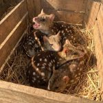 603810955_122216386568108484_526929978362119053_n