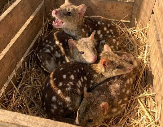 603810955_122216386568108484_526929978362119053_n