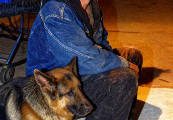 604500296_122217130886108484_7236076971841477052_n