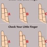 605487660_122197111784345815_8166923424859529815_n