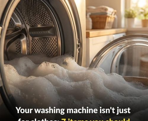 605900048_122216591324108484_2950321934573736804_n