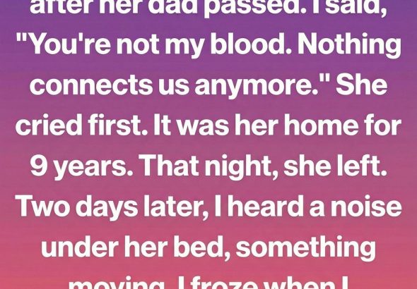 606411780_122216964116108484_4796403075775817490_n