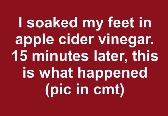 594032958_122214417338108484_1455491962259685362_n