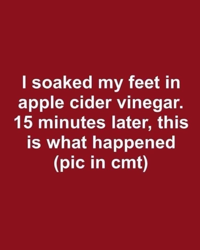 594032958_122214417338108484_1455491962259685362_n