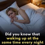 595717374_122214780536108484_3594689202257902783_n (1)