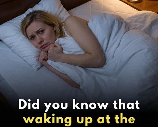 595717374_122214780536108484_3594689202257902783_n (1)