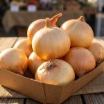 597179077_122215591826108484_783262693849466909_n