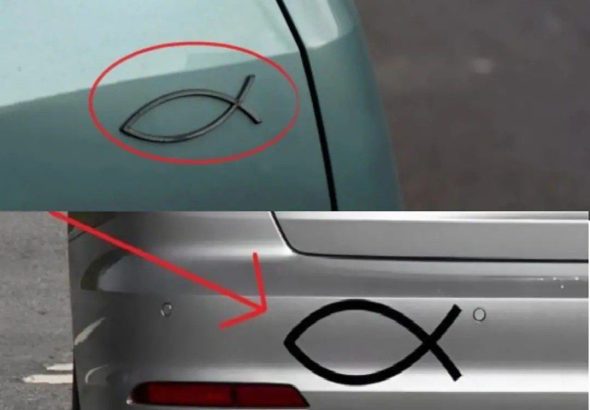 605784473_122217465860108484_7453979353199972207_n