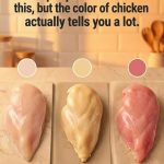 611675369_122218352684108484_4054560219319187586_n