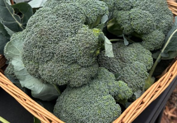 612230637_122218364576108484_6148489278754182039_n