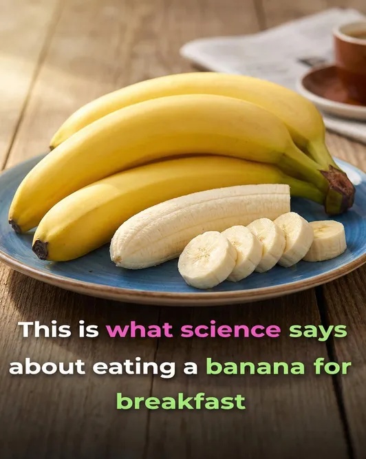 614854187_122218896068108484_6632315461823068311_n