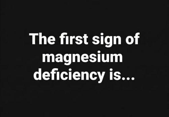 615089319_122218776812108484_272388921112609379_n