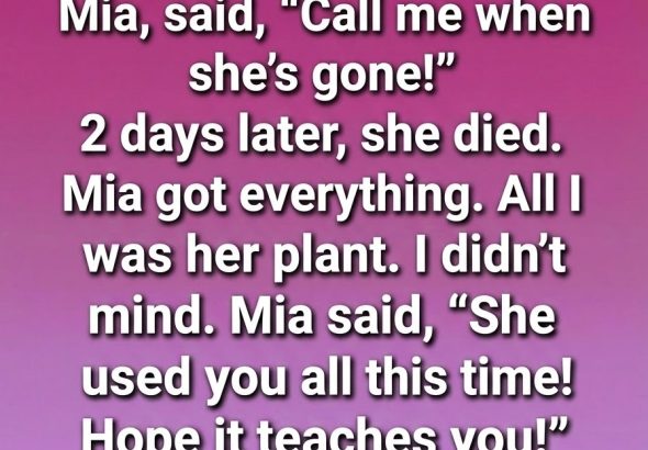 615481055_122218773818108484_181489180008949733_n