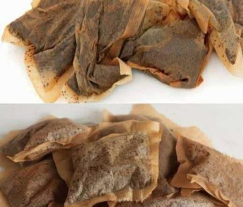 615696539_122199586694345815_8114658680040599265_n