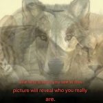 615810907_122218770548108484_5410350383917995626_n