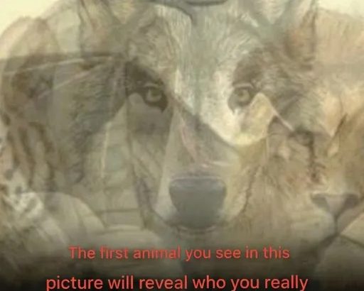 615810907_122218770548108484_5410350383917995626_n