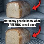 615896196_122218885358108484_4011402113982699020_n