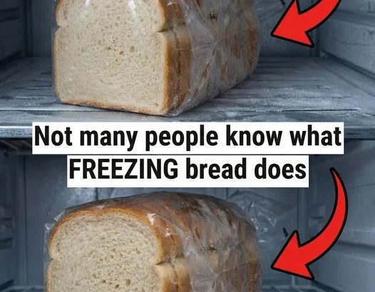 615896196_122218885358108484_4011402113982699020_n