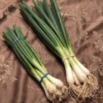 615930806_122219114966108484_7707507224029447563_n