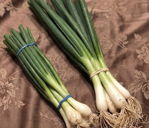 615930806_122219114966108484_7707507224029447563_n