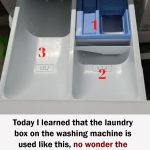 618230477_122219265506108484_4636721558743323464_n