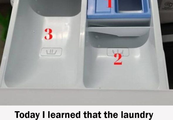 618230477_122219265506108484_4636721558743323464_n